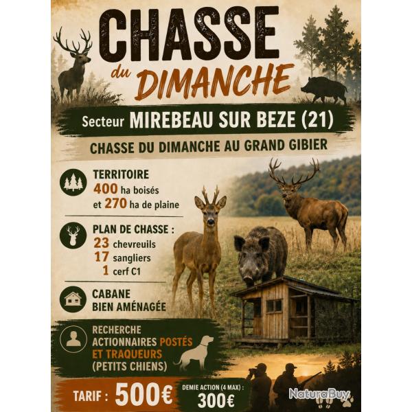 Recherche actionnaire C�te d'Or (21) grand gibier