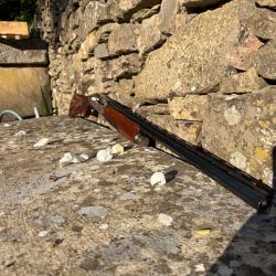 Benelli montefeltro Silver calibre 12