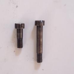 lot de 2 vis de pontet de mauser 98k