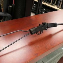 CARABINE CHIAPPA LITTLE BADGER 22LR MISE A PRIX 1 EUROS SANS PRIX DE RESERVE