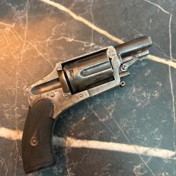 6mm Velodog