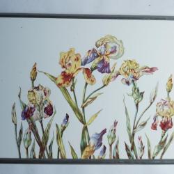 Plateau fa&iuml;ence Iris Art nouveau