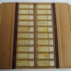 Anciennes pr&eacute;parations microscopiques zoologie Universit&eacute; de Neuch&acirc;tel