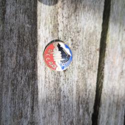 Insigne de  Boutonni&egrave;re ACCAP