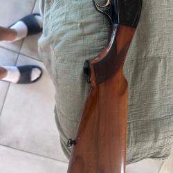 Beretta A301