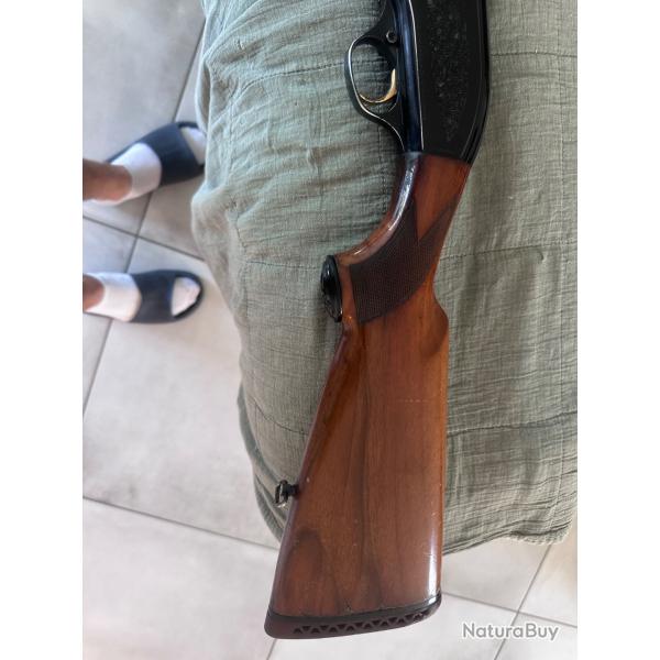 Beretta A301