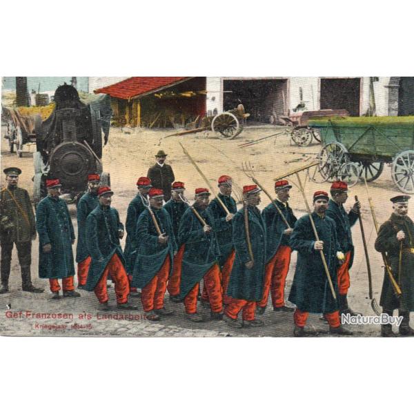 Carte postale de prisonniers de guerre fran�ais comme travailleurs agricoles -N�8386