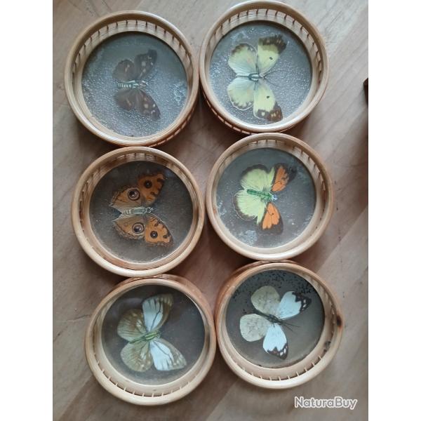 Ensemble vintage de six sous-verres papillon en bambou dans un chariot/support Made in Japon