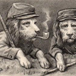 Carte postale "Les Vrais Poilus" - Soldats chiensl -N&deg;8397