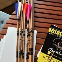 Tubes gold tip traditional
