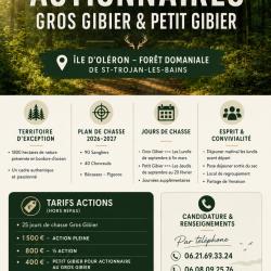 Recherche Actionnaires
