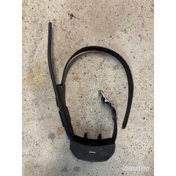 Collier gps Sportdog Tek2.0 dressage rep�rage