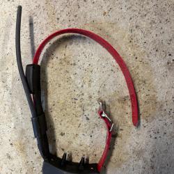 Collier gps Sportdog 2.0