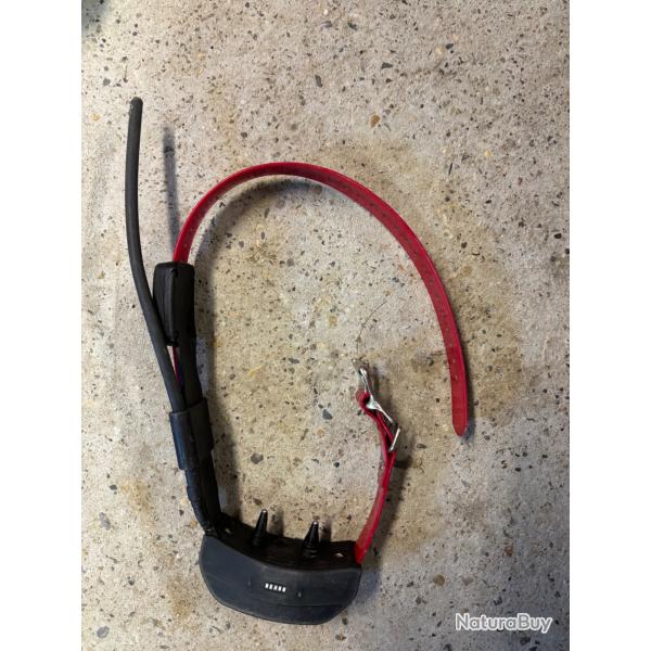 Collier gps Sportdog 2.0