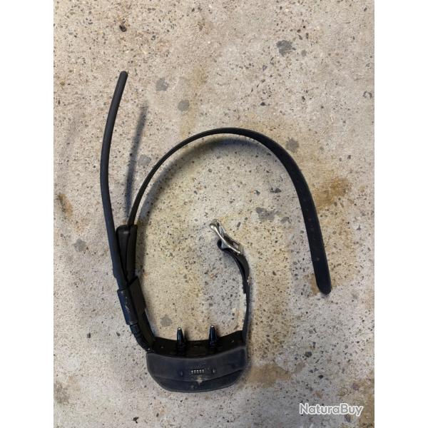 Collier gps Sportdog 2.0 dressage rep�rage