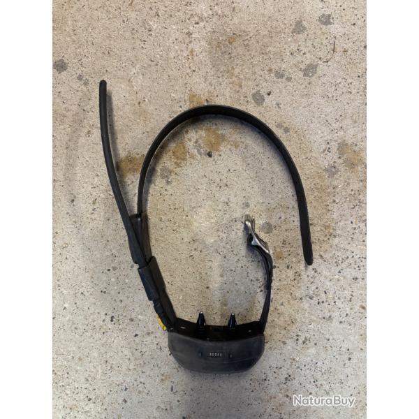 Collier gps Tek 2.0 dressage rep�rage