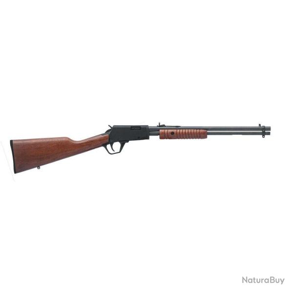 Carabine Rossi Gallery Bois 22LR