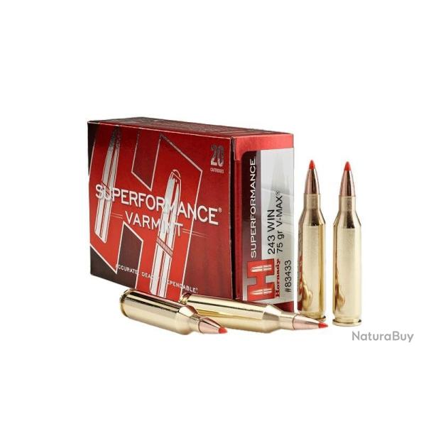 ! EN PROMO ! Munitions HORNADY cal.243win superformance varmint v-max 75gr par 60