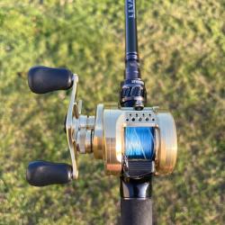 Shimano Calcutta 201