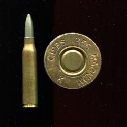 .256 Gibbs Magnum - Prestigieux calibre Anglais - marquage : GIBBS 256 MAGNUM K - balle Solid Tip