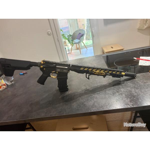 Systema PTW supermax custom
