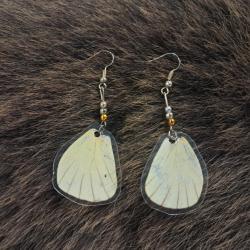 Paire de boucles d'oreilles de vraies ailes de papillon #2