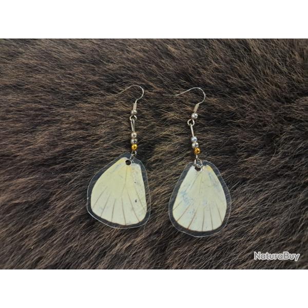Paire de boucles d'oreilles de vraies ailes de papillon #2