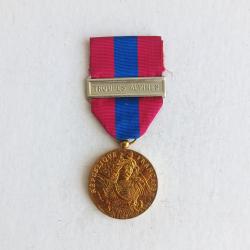 M&eacute;daille - FR65305g D&eacute;fense nationale classe bronze agrafe TROUPES ALPINES
