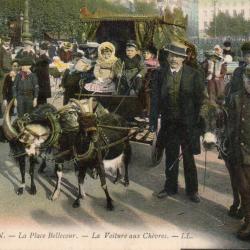 Carte Postale Ancienne - Lyon, La Place Bellecour - La Voiture aux Ch&egrave;vres -N&deg;8400