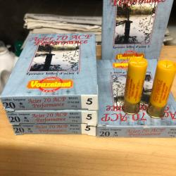 Lot de cartouches cal 20 acier