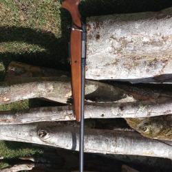 CANARDIER MOSSBERG A VERROU CAL 12 magnum