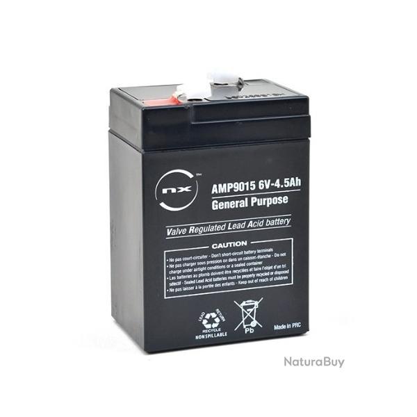 BATTERIE RECHARGEABLE AGRAINOIR 6V