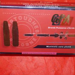 Cartouches 300 Win Mag SOLOGNE GPA 11.7G/180GR en boite de 20