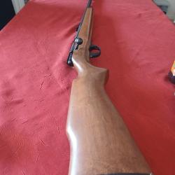 Carabine 22LR ARMSCOR 14P