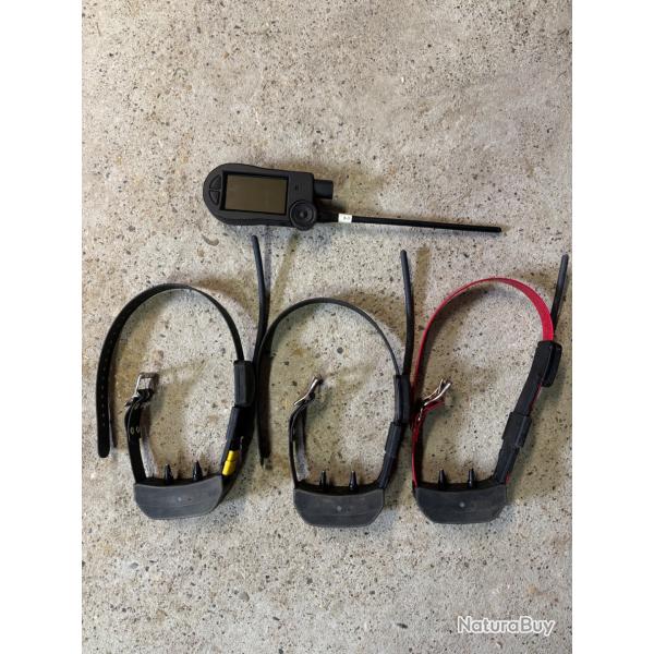 Pack Sportdog Tek 2.0 dressage/rep�rage