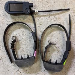 Pack Collier SportDog tek2.0