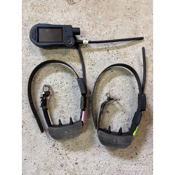 Pack Collier SportDog tek2.0