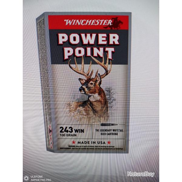 Winchester power point 243 win 100gr 20 munitions