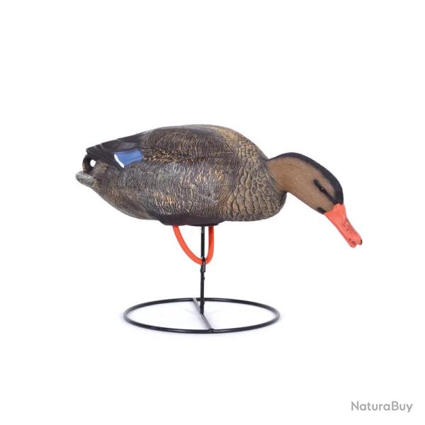 Appelant colvert femelle mangeur sur pied en acier