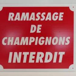 Panneau pvc ramassage de champignons  interdit