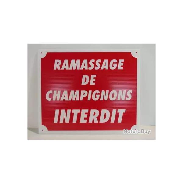 Panneau pvc ramassage de champignons  interdit