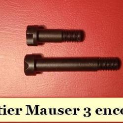 Lot de 2 vis boitier Mauser 3 encoches