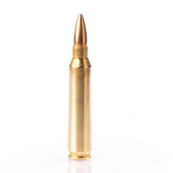 Cartouches FIOCCHI cal 223 rem FMJ 55 gr 3.56 g