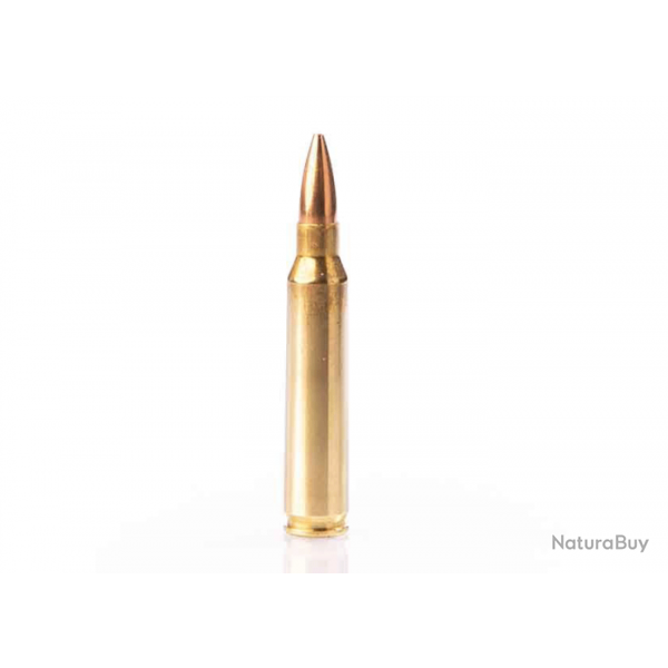 Cartouches FIOCCHI cal 223 rem FMJ 55 gr 3.56 g