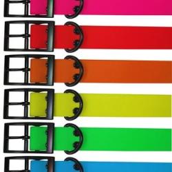 Collier Pisteurs pvc vert 65cm X 25mm