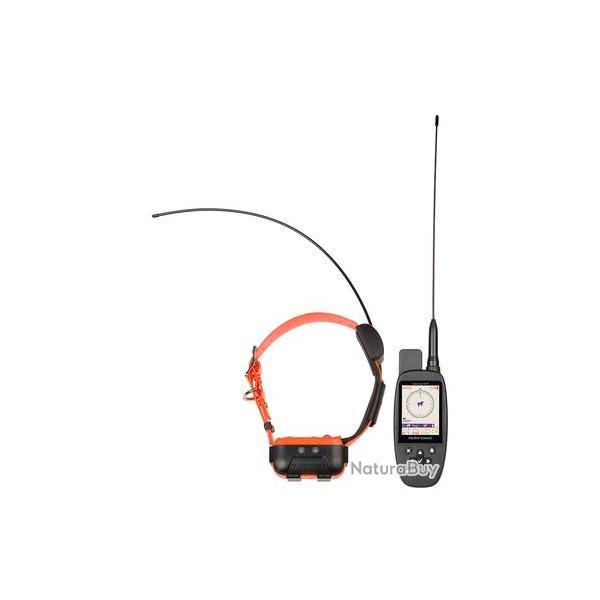 Collier de rep�rage Num'axes canicom gps 2