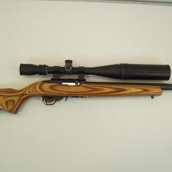 carabien ruger 10/22  22lr avec lunette tasco 6-24x44