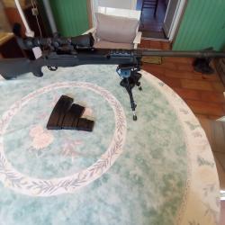Carabine Ruger mini 14, canon lourd