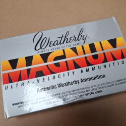 Balles 416 Weatherby Magnum 400gr Round nose soft point