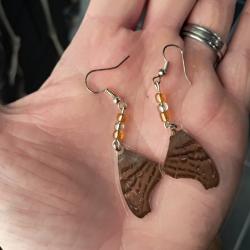 Paire de boucles d'oreilles de vraies ailes de papillon #3